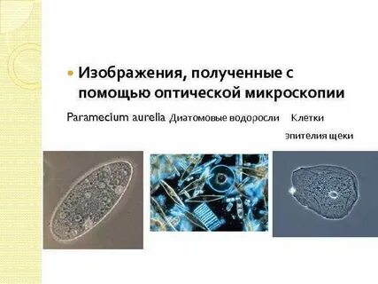 Изображение получаемое с помощью микроскопа является
