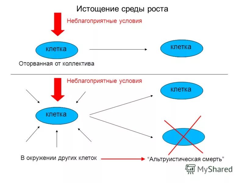 Окружение по другому