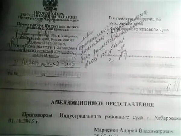 Дополнительное апелляционное представление. Апелляционное представление. апелляционное представление по уголовному делу. апелляционное представление по гражданскому делу. апелляционное представление государственного обвинителя.