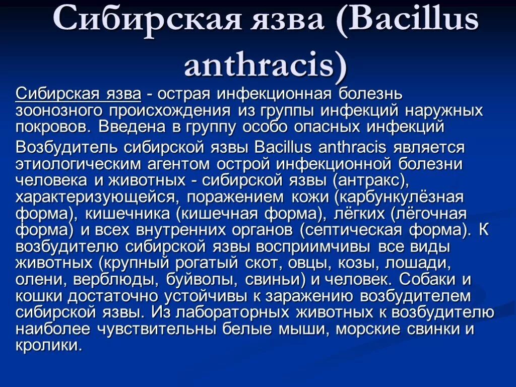 Сибирская язва презентация. Сибирская язва заболевание. Вызываемые заболевания Сибирская язва. Сиб язва