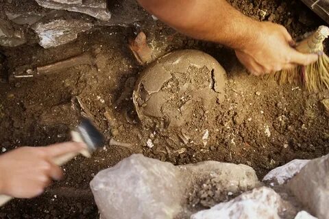 Находка в древнейших времен