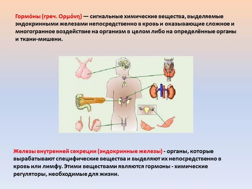 Орган мишень щитовидной железы. Эндокринные железы выделяют гормоны непосредственно:. Органы мишени гормонов. Вещества выделяемые железами внутренней секреции. Выделеяю железы внутрееней секре.