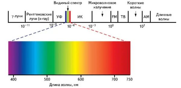 Длина волны синего спектра. Диапазоны спектра световых излучений. Диапазон видимого человеком спектра излучения. Шкала длин волн видимого спектра. Диапазон длины волны (НМ) видимой части спектра:.