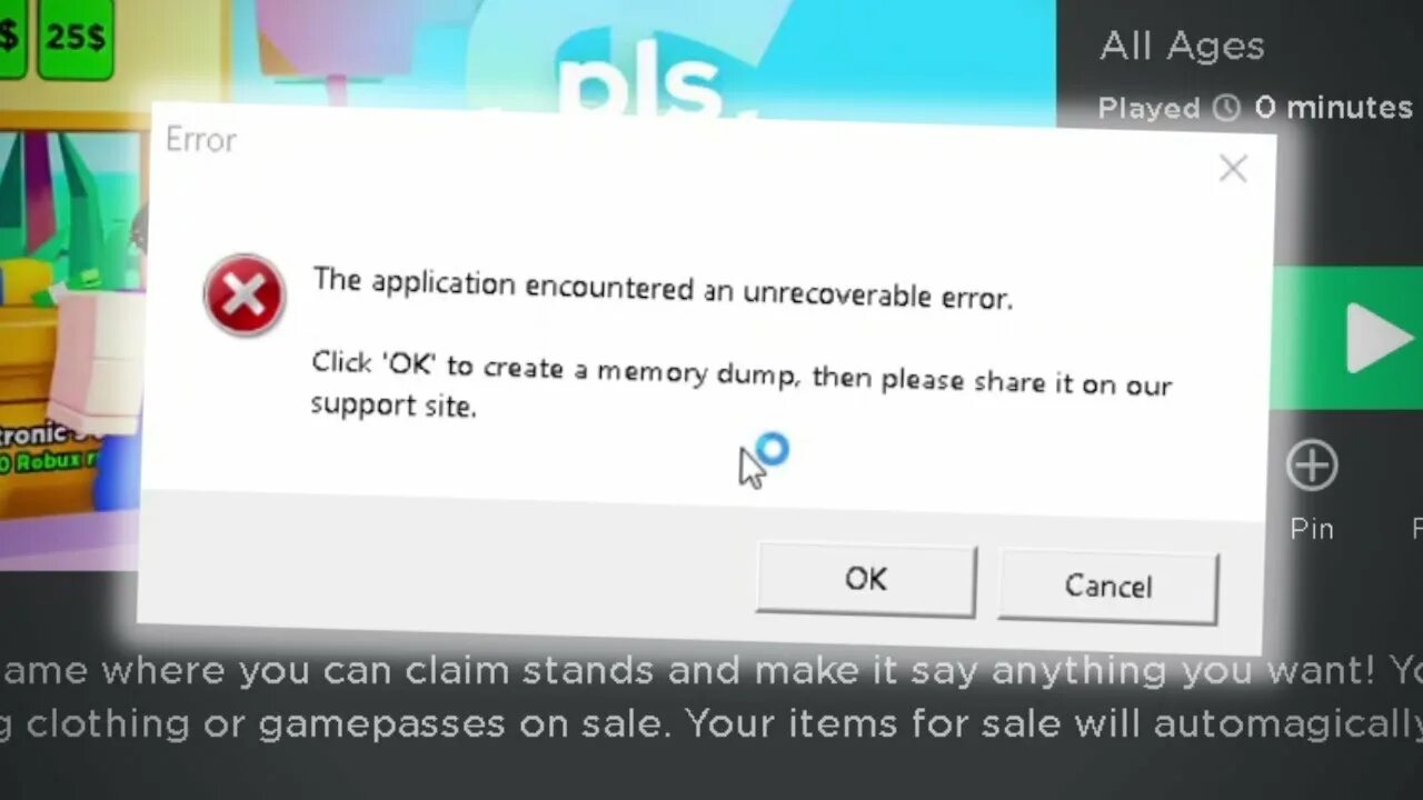 The application encountered
