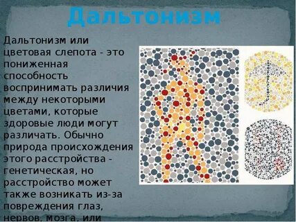 Основной причиной дальтонизма у человека