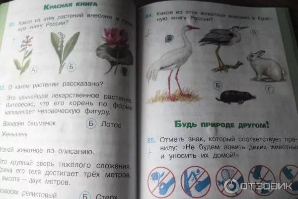 Плешаков проверочные работы 2 класс. Плешаков проверочные работы 2 класс