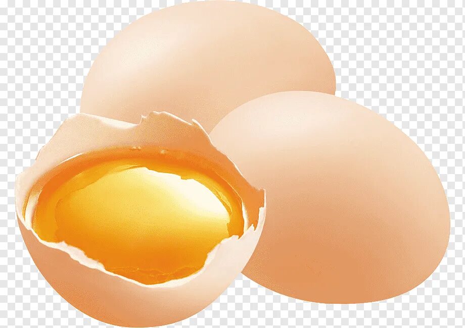 Яйцо без фона. Разбитое куриное яйцо. Яйцо на прозрачном фоне. Прозрачное яйцо. Яйцо вектор