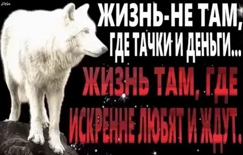 Волчья судьба