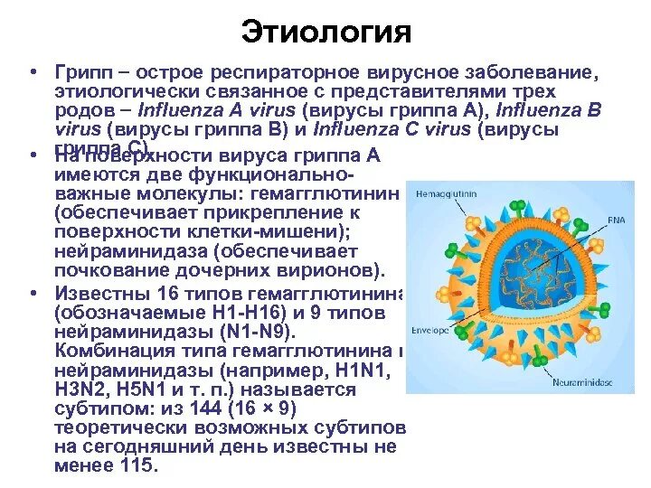 Возбудитель гриппа орви. Грипп этиология. Вирус гриппа этиология. Грипп этиология патогенез. Грипп этиология эпидемиология.