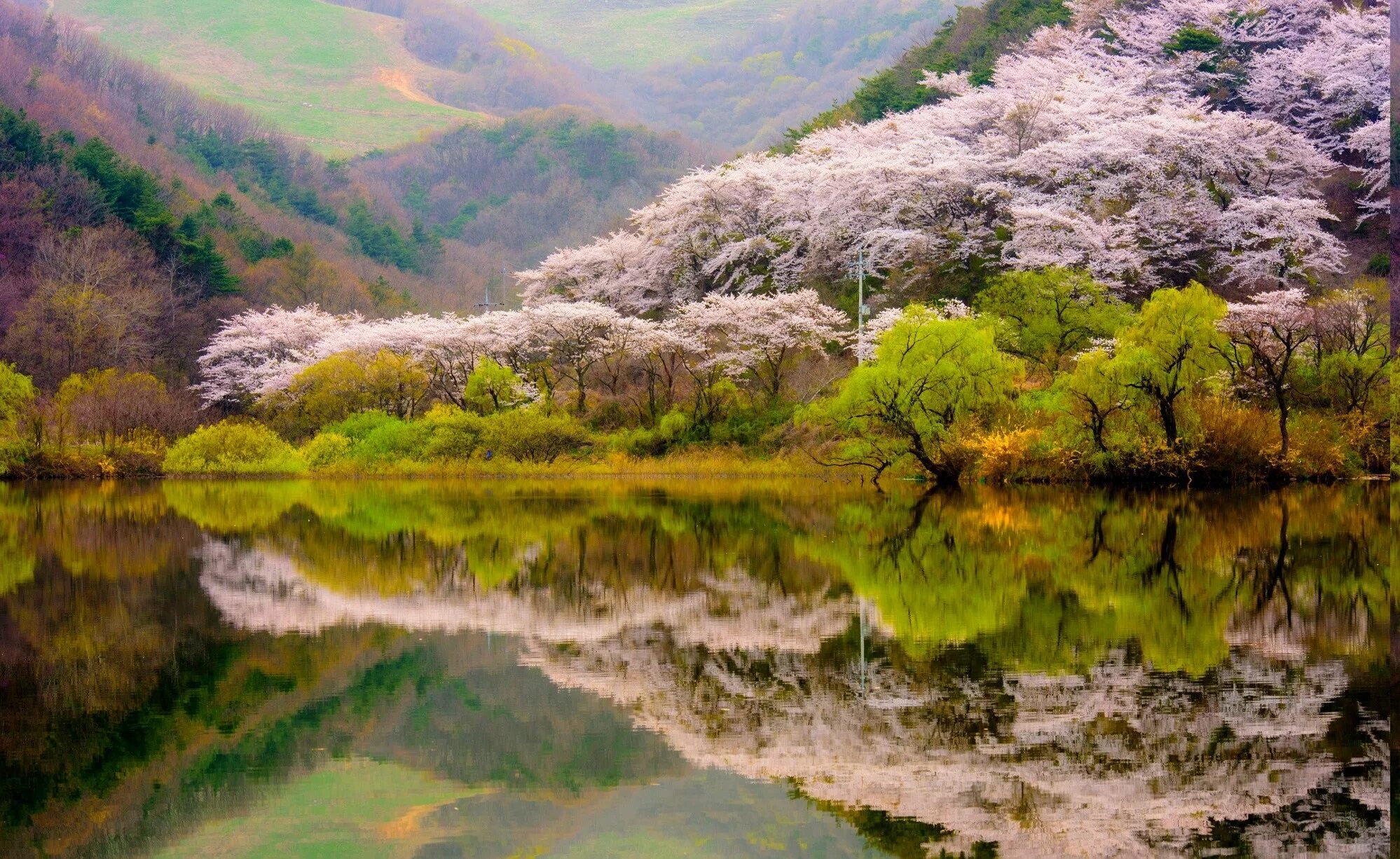 Корея манзараси. Южная Корея ландшафт горы. Природа Кореи гора вода деревя. Весенний пейзаж. Цветущие реки и озера