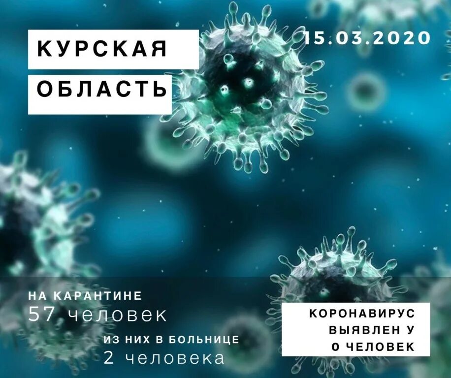 курский коронавирус. коронавирус в курске на сегодня за сутки. карта курской области. онкодиспансер койки. коронавирус в курске.
