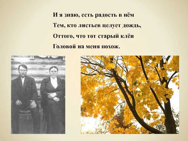 Идешь на меня похожий тема. Стихотворение я покинул родимый дом Есенин. Стих Есенина я покинул родной дом 5 класс. Есенина покинул родимый дом. Стих покинул родимый дом Есенин.