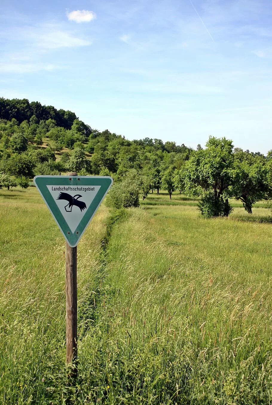 Protected area