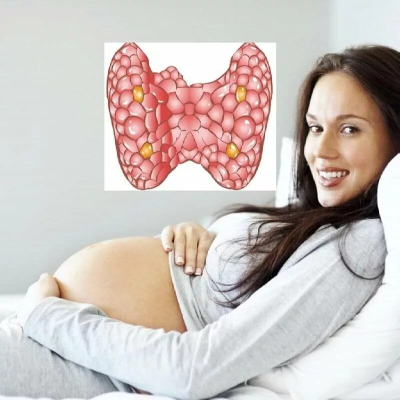 Заболевание при беременности. Заболевания щитовидной железы и беременность. Беременная и щитовидная железа. Эндокринные заболевания у беременных. Гипертиреоз и беременность.