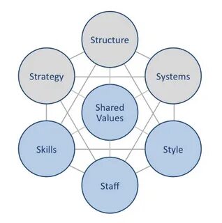7 values