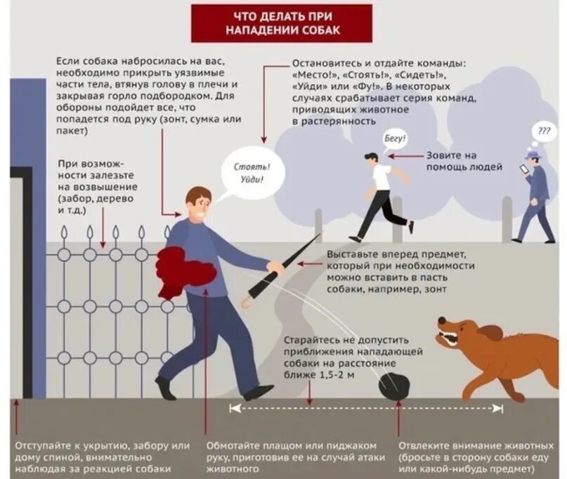 Поведение при нападении. Что делать при нападении. При нападении собаки. Правила поведения при нападении собаки. Что делать если напала собака.