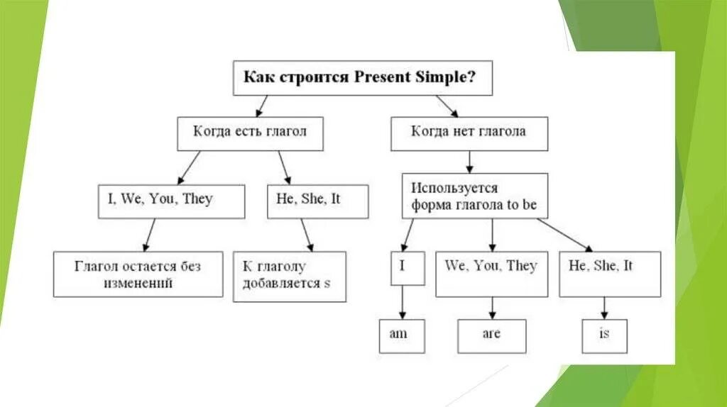 Предложение со словом present simple. Как строить предложения в present simple. Как строится предложение в present simple. Как строится present simple в английском. Настоящее простое время в английском языке таблица 5 класс.