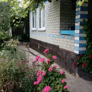 Глушковка