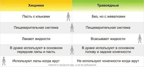 Как пишется слово хищный