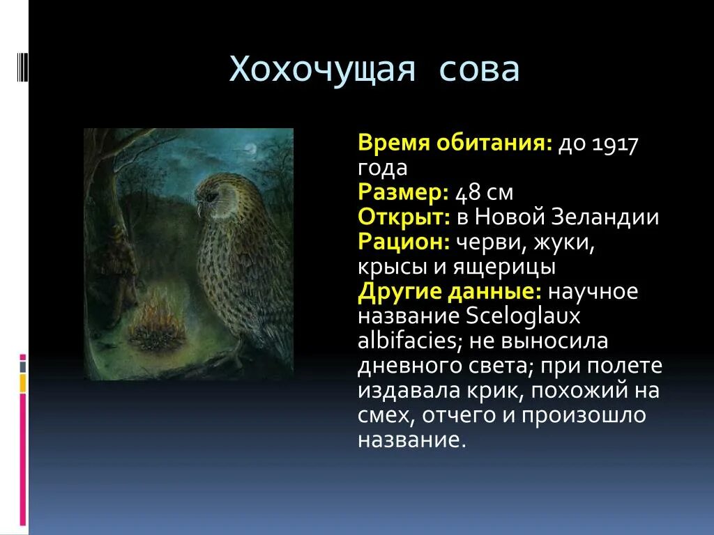 Совиные реакции