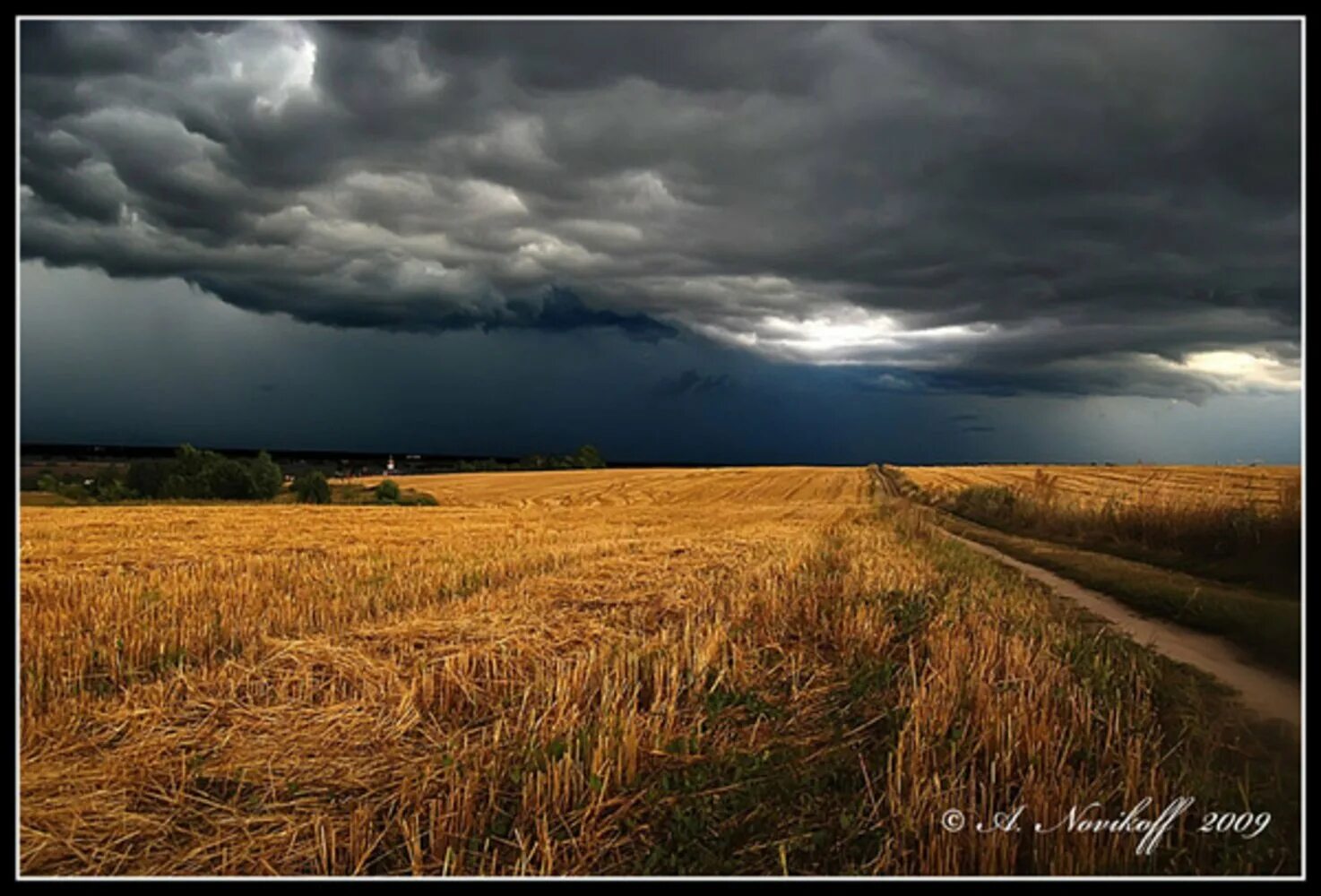 пыль стояла над полем. пыль стояла над полем. пыль стояла над полем. грозовое небо в поле. поле в тумане.