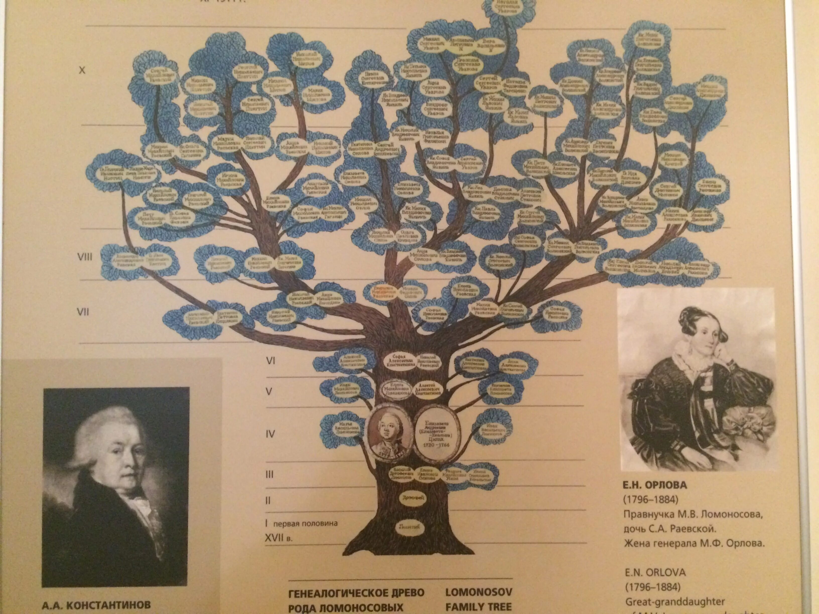 Отпрыск рода орловых том 5. Генеалогическое Древо Орловых до наших дней. Ломоносов генеалогическое Древо. Орлов родословная. Древо рода Ломоносова.