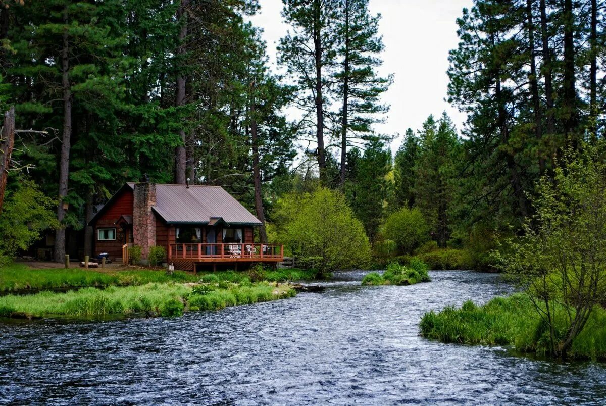 Домик у озера / Cabin by the Lake (2000). Домик у реки в Йёльстере. Норвегия. Дом у реки (River Cottage). Дом Каленов в лесу у озера. Деревянный дом на реке