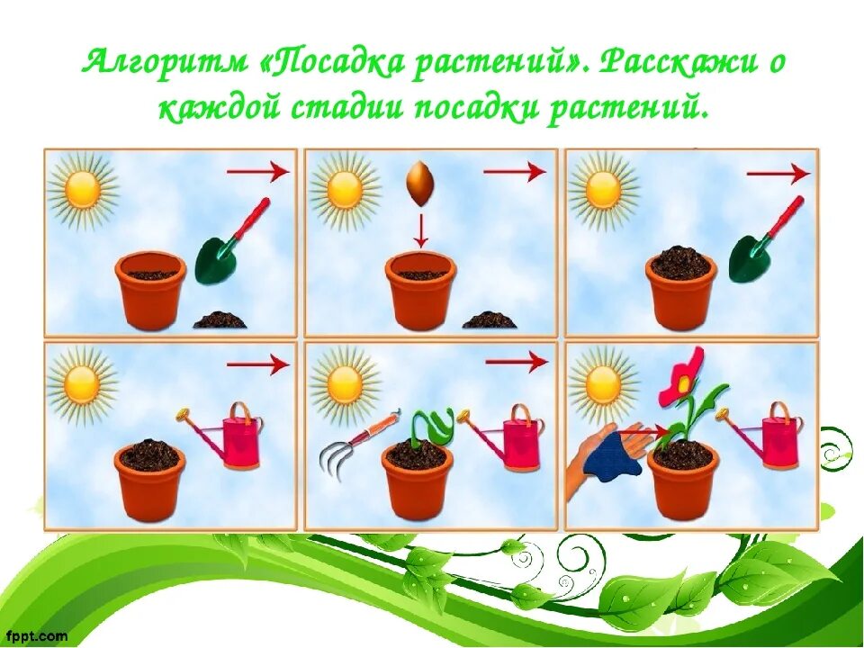 Природа алгоритма