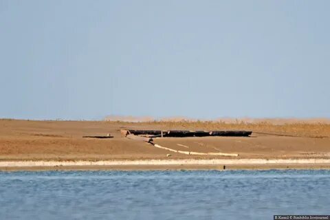 Остров водный ростовская область