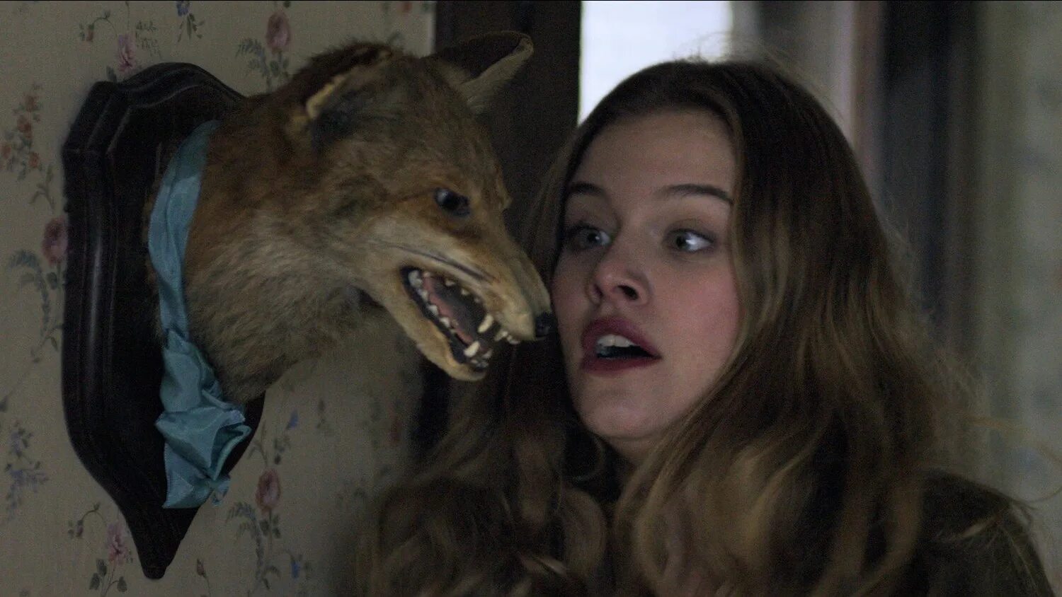 у ягнят есть зубы. у ягнят есть зубы. даже у ягнят есть зубы 2014.