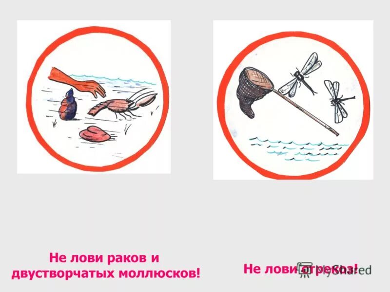 Знаки безопасности на воде. Что нельзя делать на водоемах. Запрещающий знаки на водоемох. Запрещающие знаки поведения у водоема. Знаки поведения у водоема.