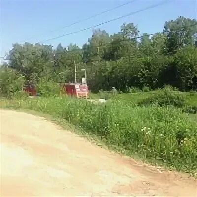 Осельки девяткина