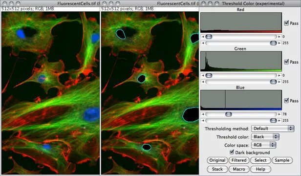 Программа imagej. Imagej программа. fiji imagej. 3d suite в imagej. imagej как пользоваться.
