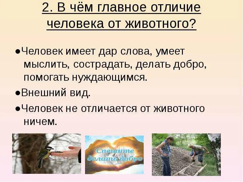 Что отличает человека от животных выберите ответ. Чем человек отличается от животных. рассказ чем человек отличается от животного. xtkjdtr d jnkbxbt jn ;bdjnyjuj cgjcj,ty vsckbnm. совесть отличает человека от животных.