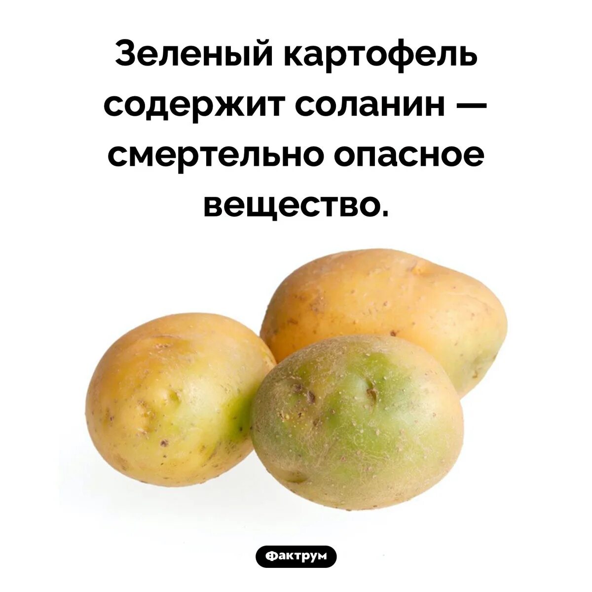 Можно ли употреблять позеленевшую картошку в пищу