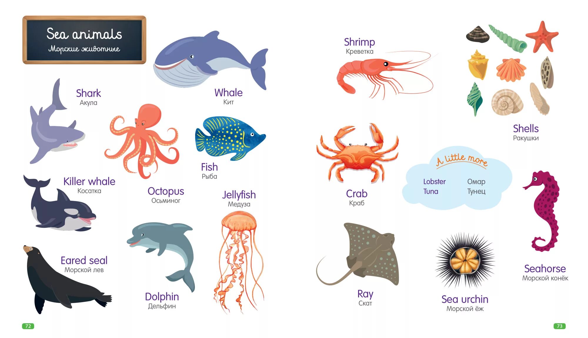 Как будет по английскому морская. Морские обитатели на английском языке для детей. Названия морских обитателей на английском. Морские животные на англ яз. Название рыб на английском для детей.