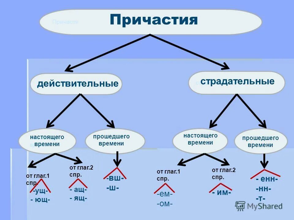 Что в языке бывает страдательным. Правописание причастий кластер. Кластер на тему Причастие. Причастие схема. Причастие схема 7 класс.