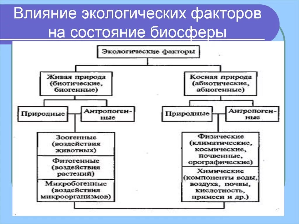 Физические показатели состояния окружающей среды. Воздействие факторов окружающей среды. Влияние экологических факторов. Воздействие экологических факторов. На что влияют экологические факторы.