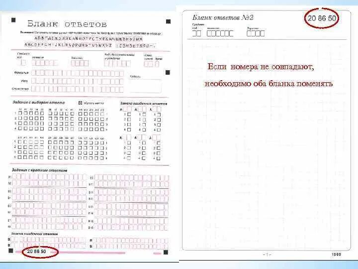 Заполненный бланк ГИА 9 класс. Заполнение Бланка ОГЭ по математике 9 класс. Положение о заполнении бланков ОГЭ. Образец заполнения Бланка ОГЭ. П 2 инструкция по заполнению 2024