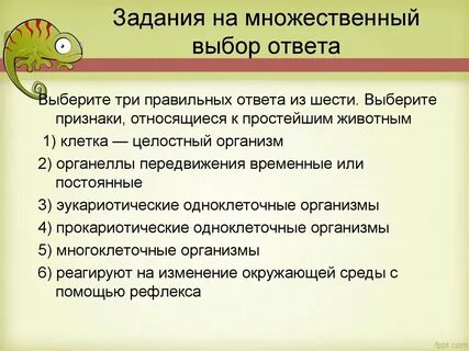 Выберите одно задание для решения