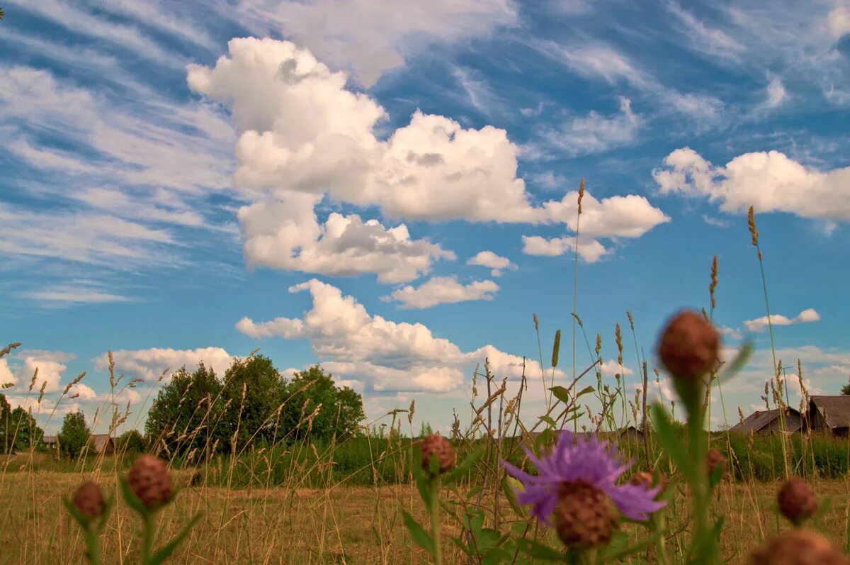 Малооблачная, без осадков. Солнечная погода лето. Переменная облачность. Без осадков днем. Солнечная погода.