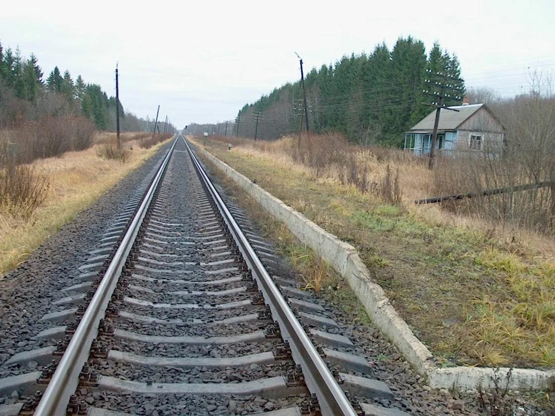 Станция и остановочный пункт разница. Станция 46 км. Станция калиновка. 46 км (разъезд, куйбышевская железная дорога). Платформа 184 км новгородская область.