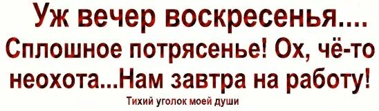 Воскресный завтра. Вечер воскресенья. Прикольное воскресенье вечер. Вечер воскресенья цитаты с юмором. Вечер воскресенья а завтра понедельник.