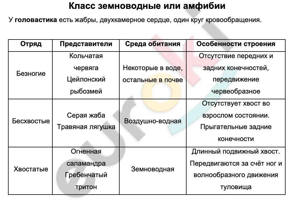 Таблица земноводных 8 класс. Таблица по амфибиям 7 класс биология. Таблица по биологии 7 класс земноводные. Характеристика класса земноводных биология 7 класс таблица. Таблица по биологии амфибии.