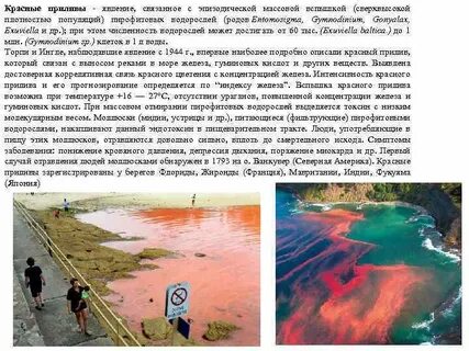 Явления носят носят название
