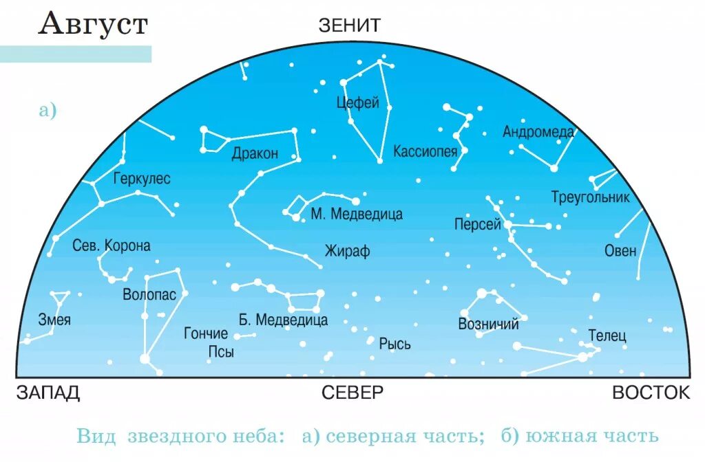 В северном полушарии можно увидеть. Созвездия на небе Северного полушария. Созвездия летнего неба. Созвездия зимнего неба. Созвездия которые видно летом.