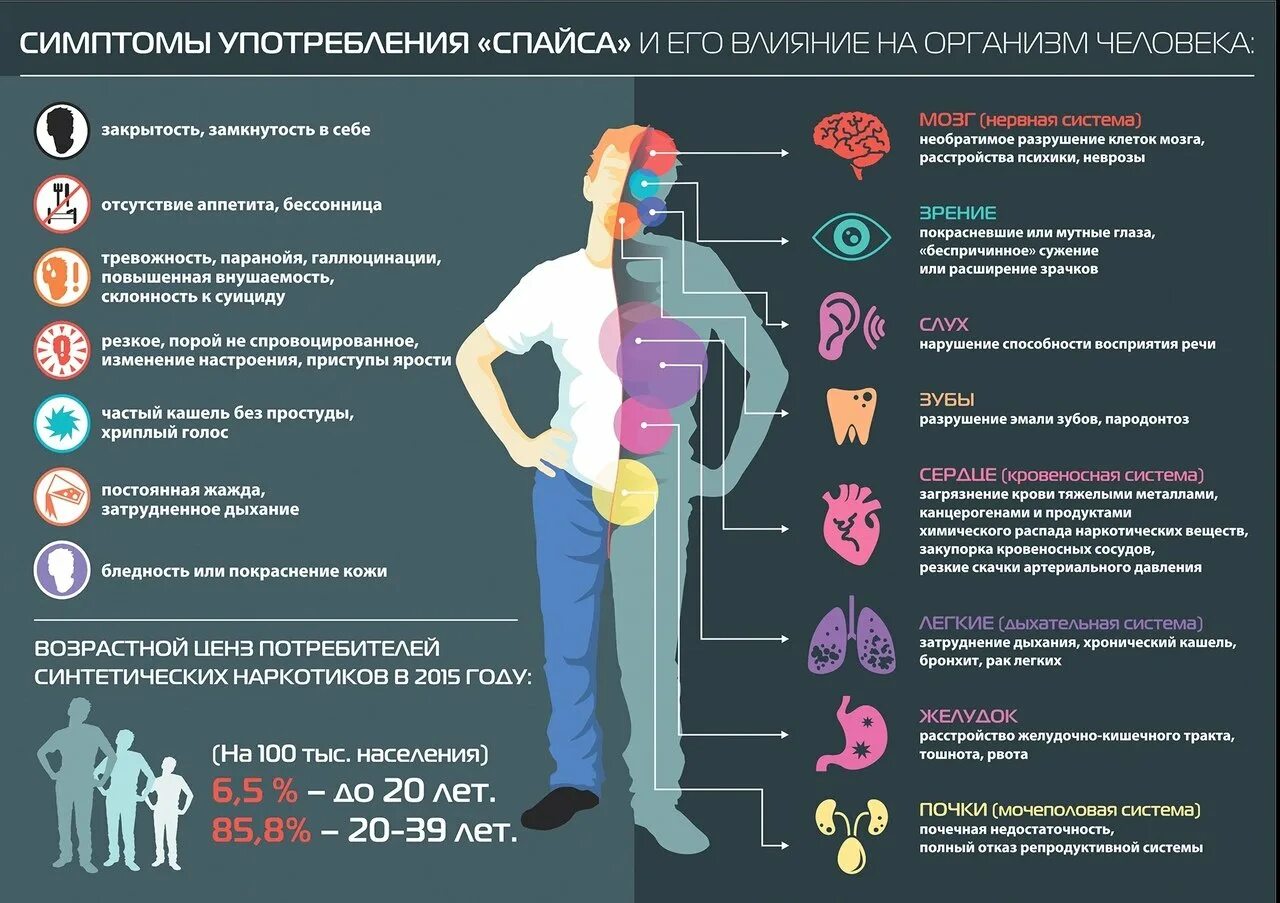 Потребление информации человеком