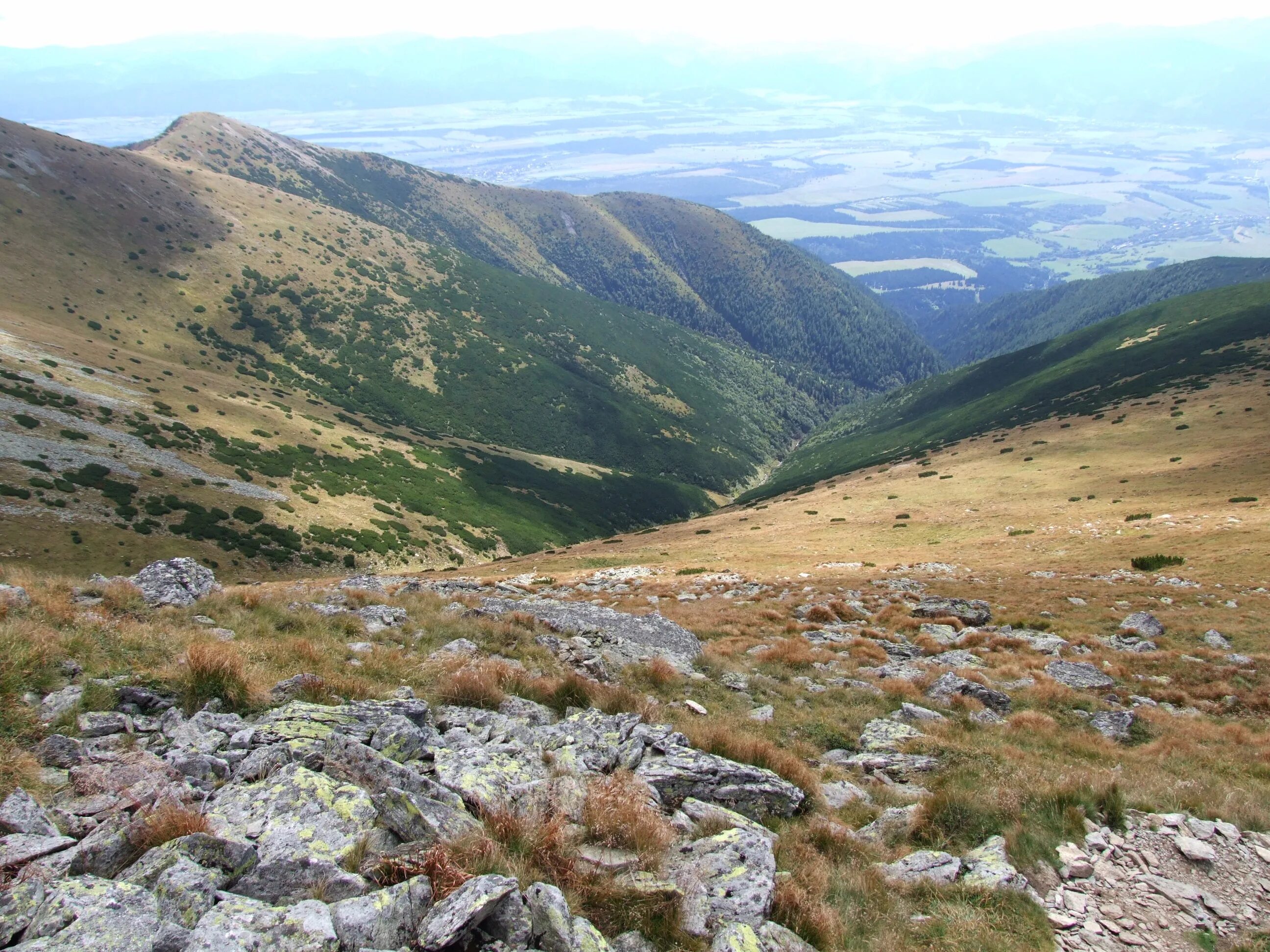 Долина 0. Данте вью долина смерти. Долина 0. Ипатьевская долина. Национальный парк долина смерти сша.