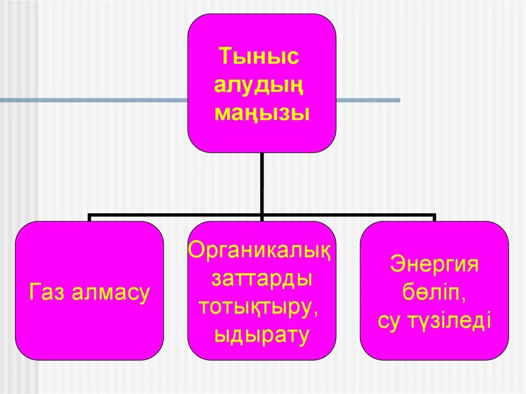 Және тыныс алу. Тыныс алу дегеніміз не. ГАЗ алмасу. Өкпедегі ГАЗ алмасу. Тыныс алу энергия.