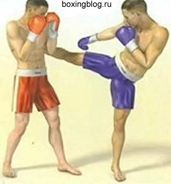 можно ли в боксе бить ногами. правильный удар лоу кик. кикбоксинг лоу кик. можно ли в боксе бить ногами. запрещенные приемы в боксе.